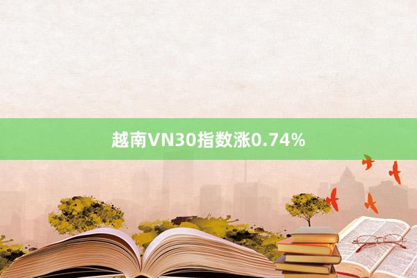 越南VN30指数涨0.74%